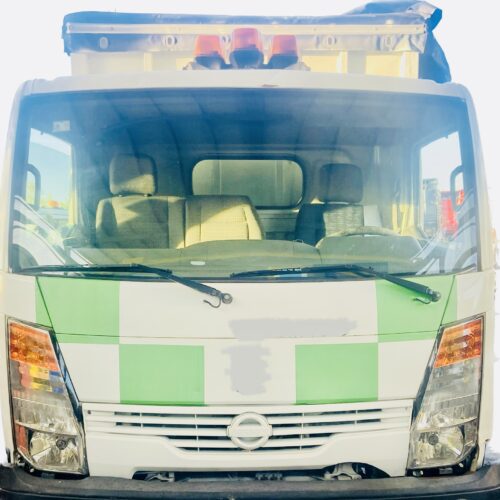 PIEZAS VARIAS NISSAN NISSAN CABSTAR 28.11 2006- 110CV 2488CC 1008823 - CABINASIMPLENISSANCABSTARRENAULTMAXITY