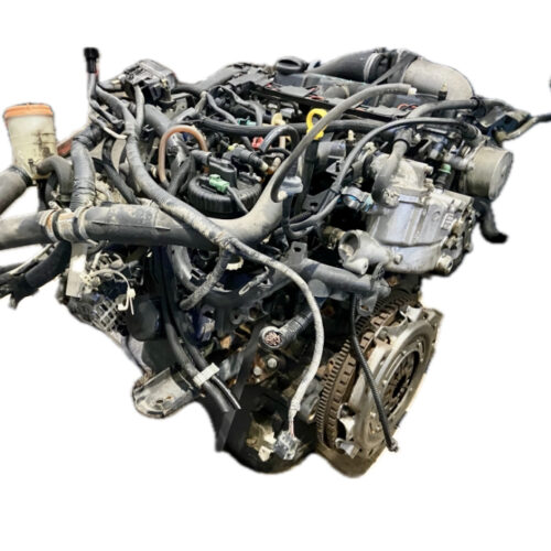 MOTOR COMPLETO SUZUKI SUZUKI SUZUKI - RHP(DW10TD)