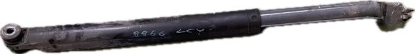 bomba_suspension_2117325_daf_xf
