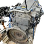 colector_escape_504030843_iveco_iveco_stralis_ad_260s31_at_260s31_2004_310cv_7790cc_1010468