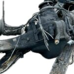 pinza_freno_trasera_izquierda_5801341080_iveco_iveco_stralis_ad_260s31_at_260s31_2003_310cv_7790cc_1008147