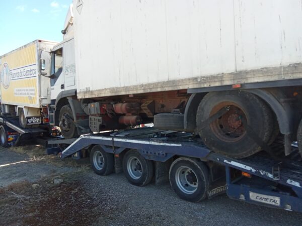 iveco_iveco_stralis_ad_260s35_2004_352cv_7990cc_1010469