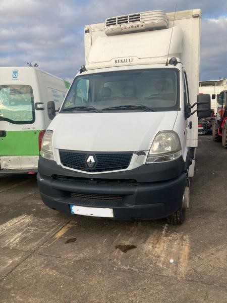 renault_mascott