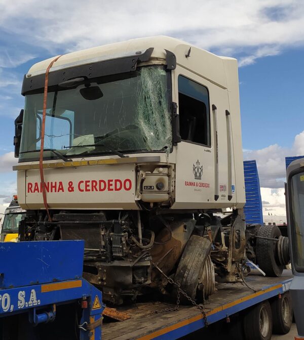 renault_trucks_renault_trucks_magnum_dxi_13_480_19_2009_480cv_12800cc_1011801