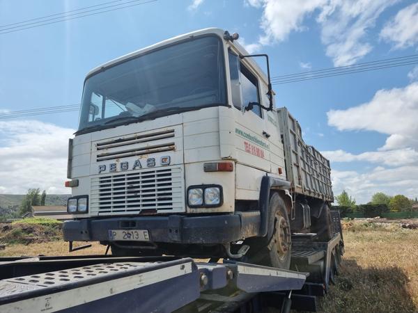pegaso_pegaso