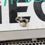 calandra_delantera_de_radiador_5010578248_renault_trucks_renault_trucks_premium_2_distribution_450_18_d_2005_450cv_10800cc_10085