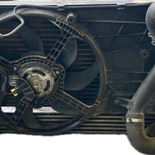 ELECTROVENTILADOR CITROËN CITROEN CITROEN - 51780704 N1495007