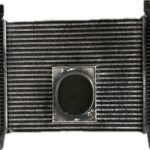 intercooler_504028467_iveco_iveco_eurocargo_150_e_22_k_tector_2006_217cv_5880cc_1010445