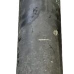 transmision_trasera_5803125120_iveco_iveco_eurocargo_150_e_25_k_tector_2006_252cv_5880cc_1010446